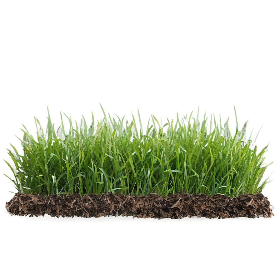 Green Grass For Landscaping Png Bxo