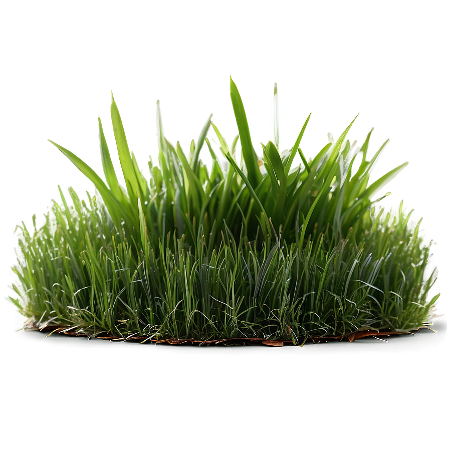 Green Grass For Sports Field Png 06262024