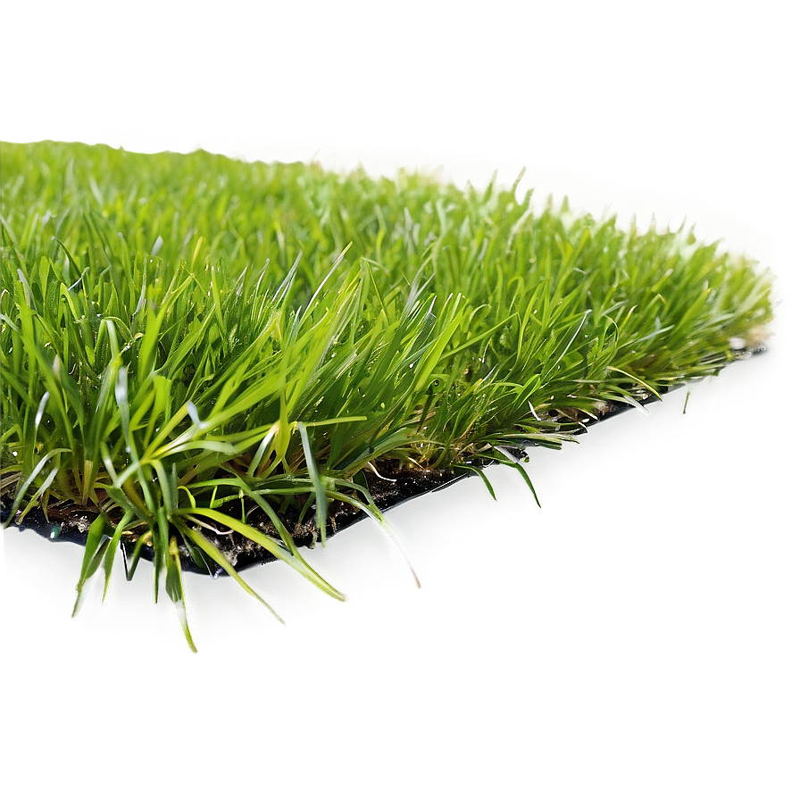 Green Grass In Wind Png Bps