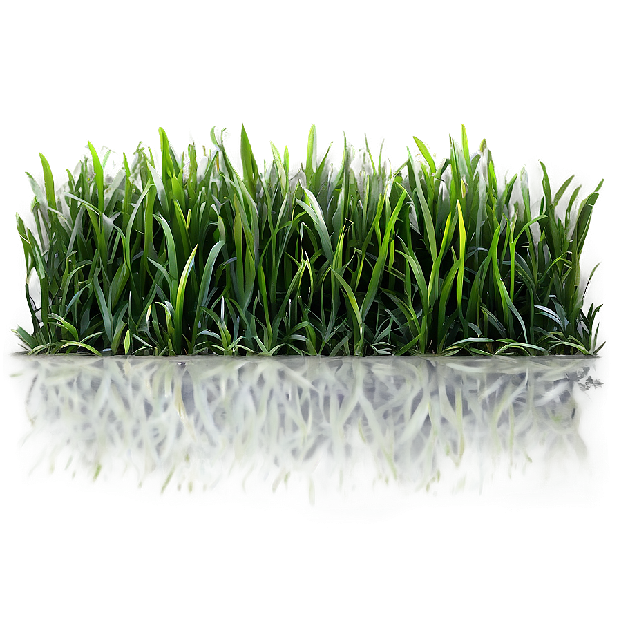 Green Grass Png Lvt