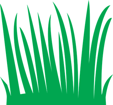 Green Grass Vector Illustration