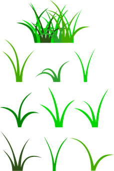 Green Grass Vector Illustration