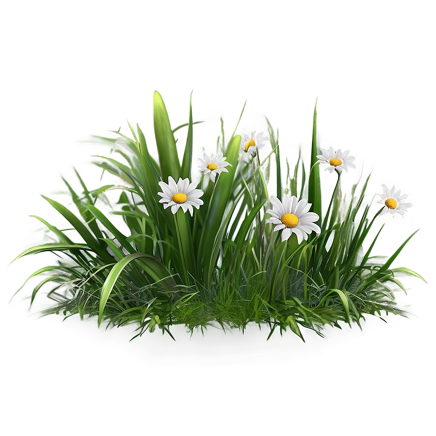 Green Grass With Flowers Png Wiw