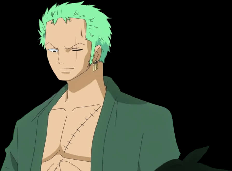 Green Haired Anime Swordsman Zoro