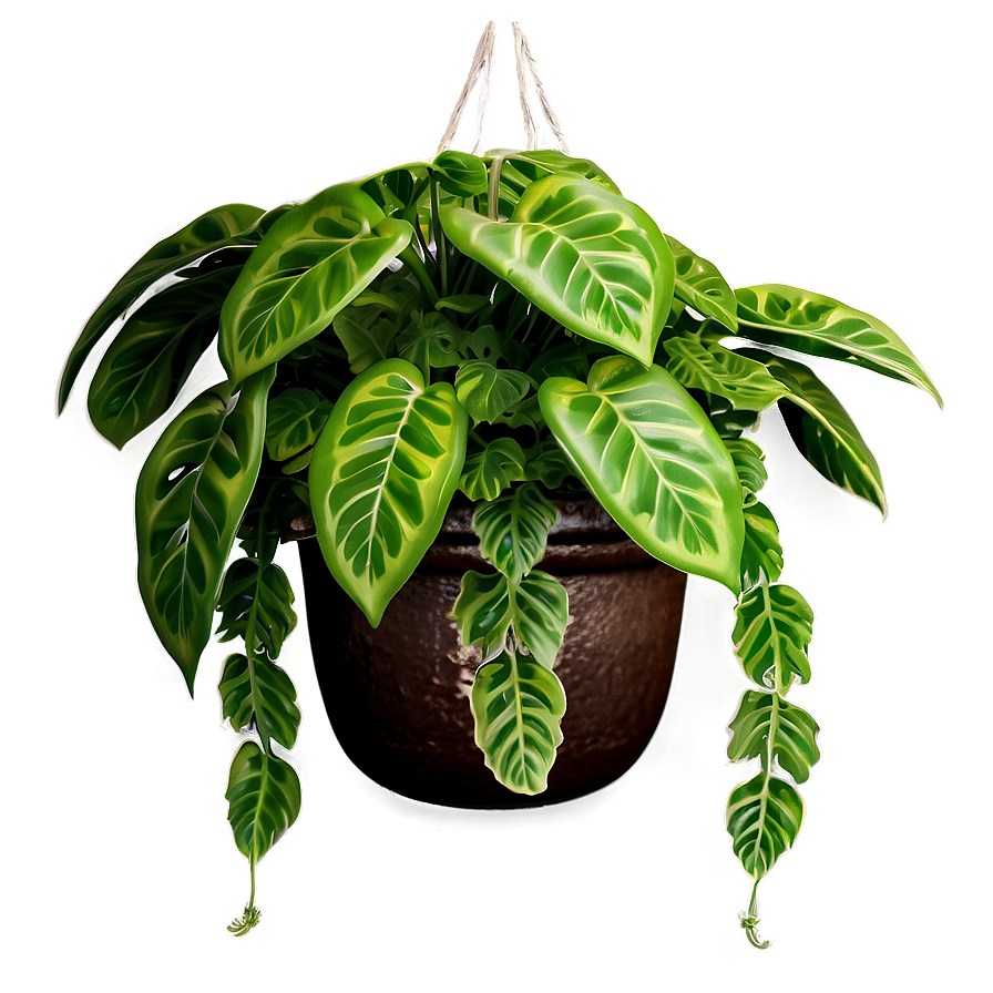 Green Hanging Plant Png 05252024