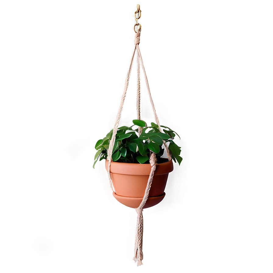 Green Hanging Plant Png Jqm45