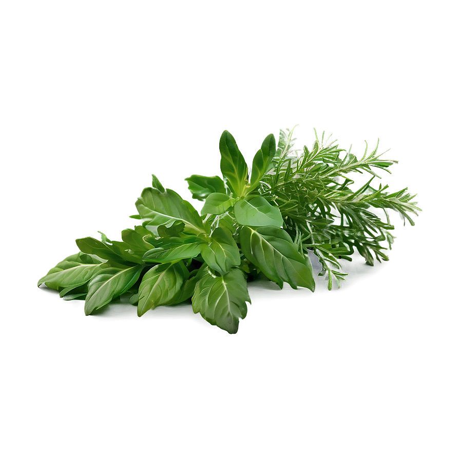 Green Herb Png 33