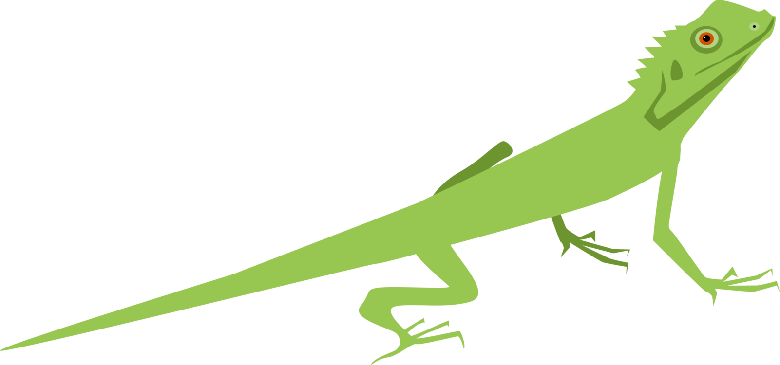 Green Iguana Illustration.png