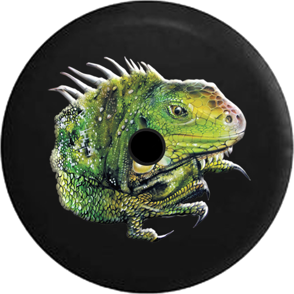 Green Iguana Vinyl Record Art