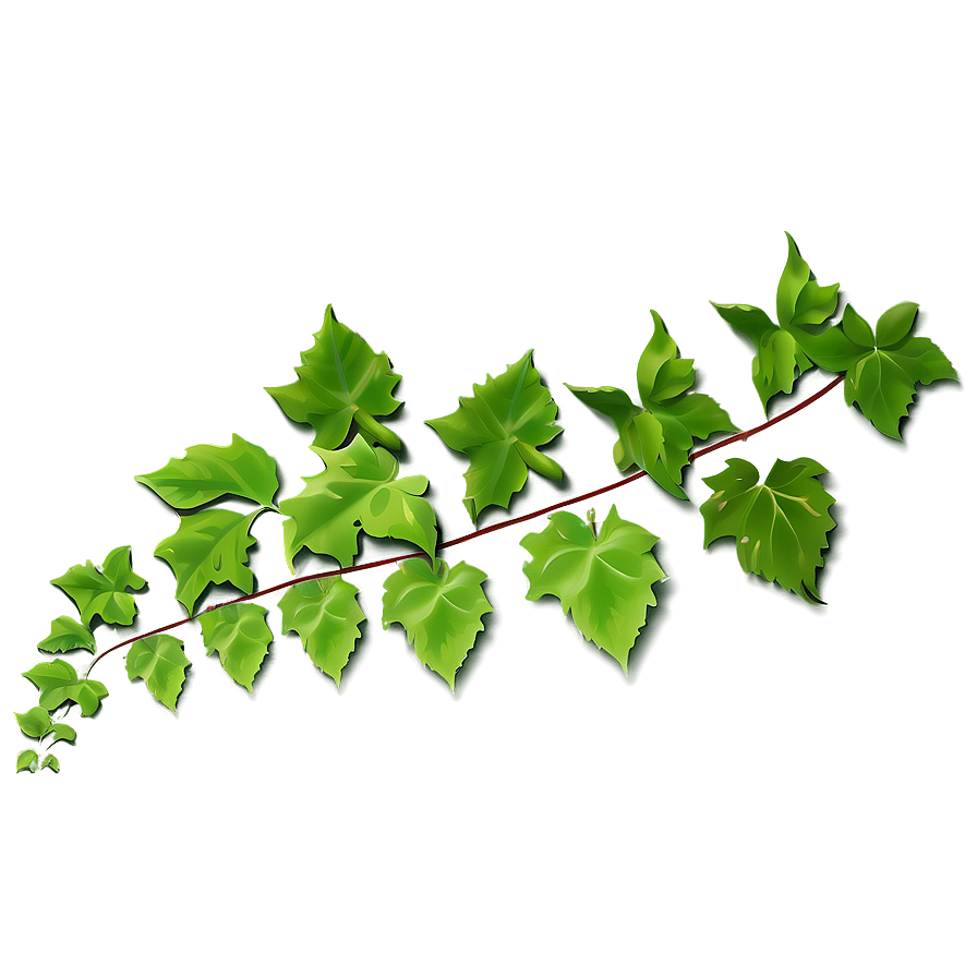 Green Ivy Vine Branch