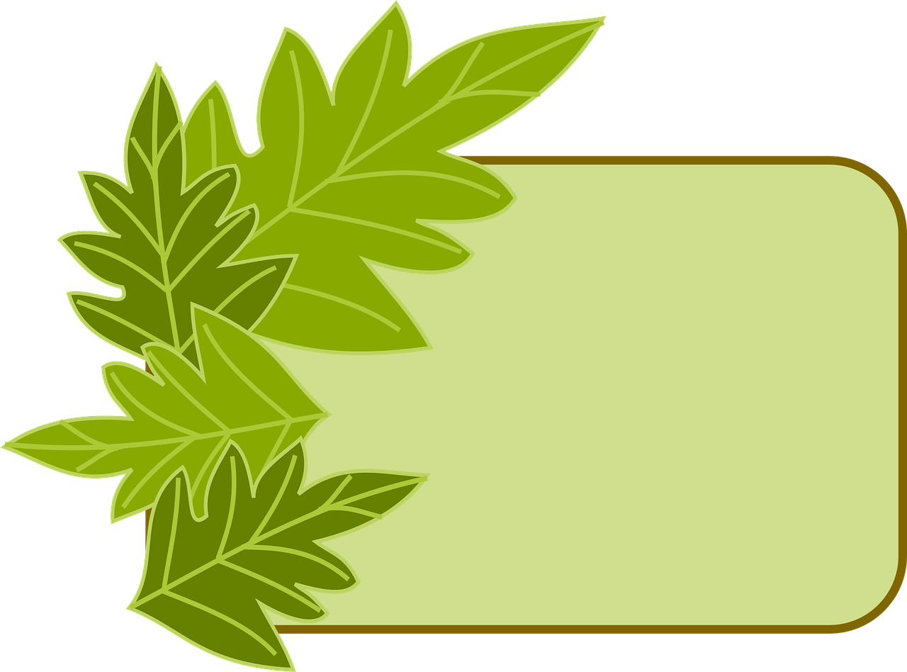Green Leaf Frame Graphic