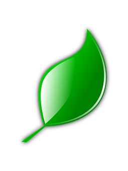 Green Leaf Graphicon Black Background