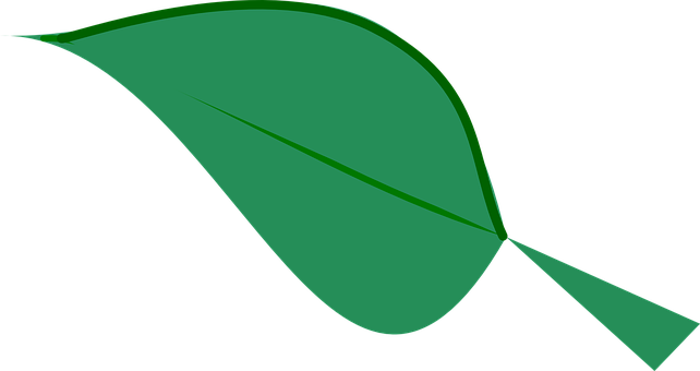 Green Leaf Graphicon Black Background