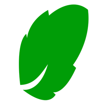 Green Leaf Icon