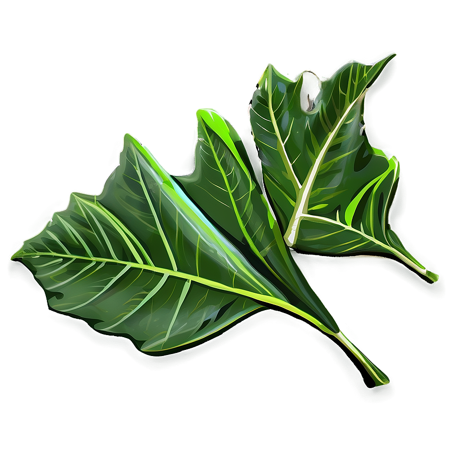 Green Leaf Png 05032024