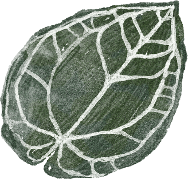 Green Leaf Texture Illustration