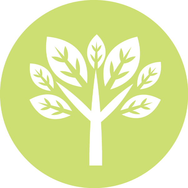 Green Leaf Tree Icon