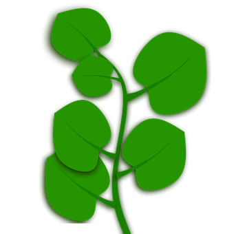 Green Leaf Vector Arton Black Background