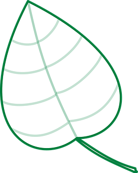 Green Leaf Vector Illustration