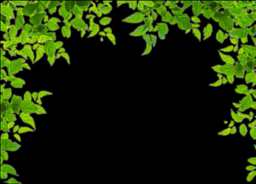 Green Leafy Frame Background