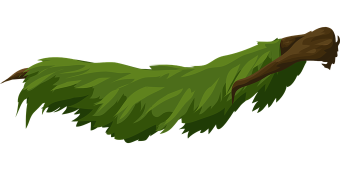 Green Leafy Tree Branch Illustration