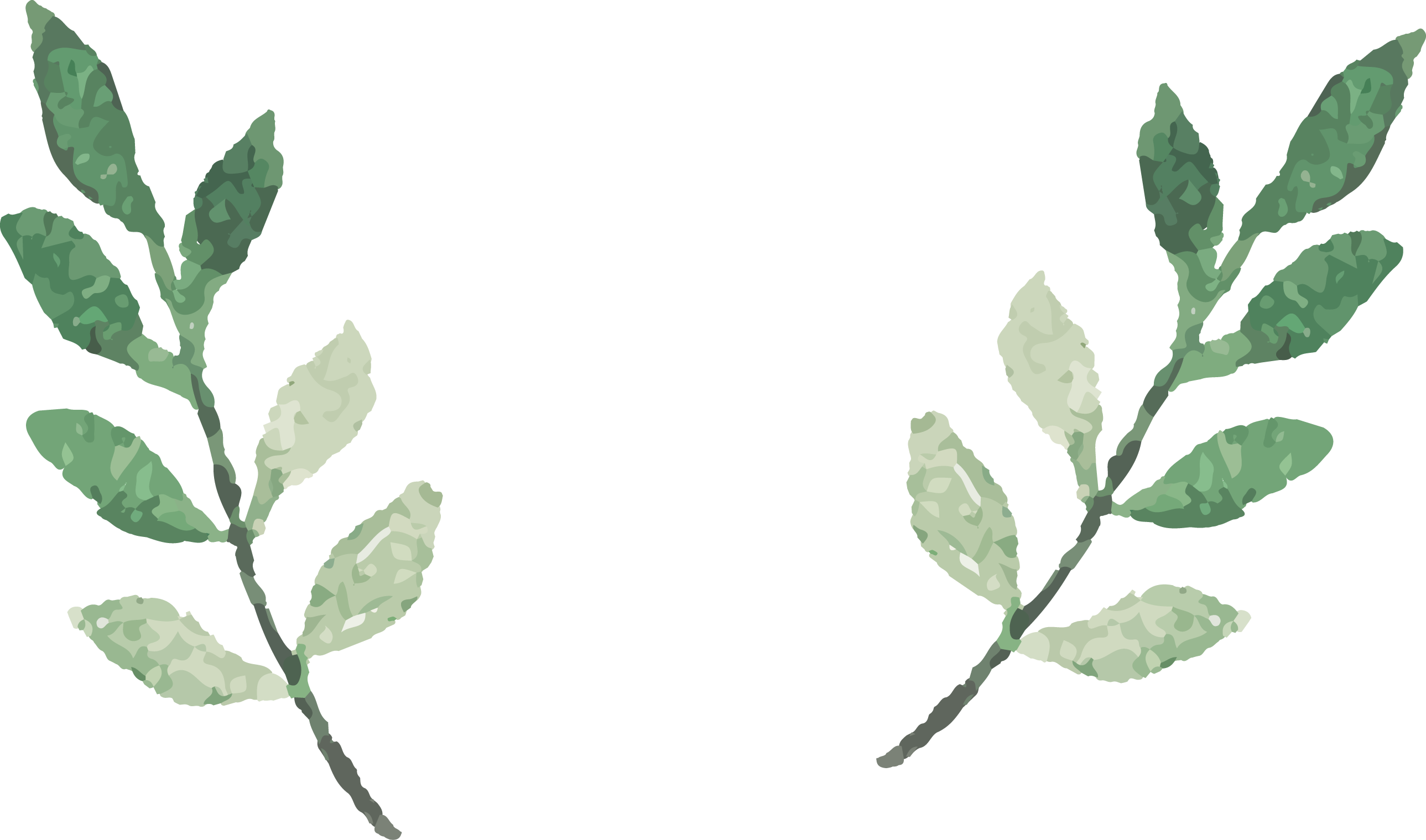 Green Leafy Twigs Illustration