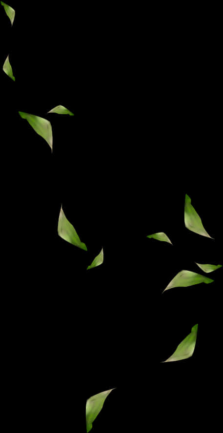 Green Leaves Against Black Background