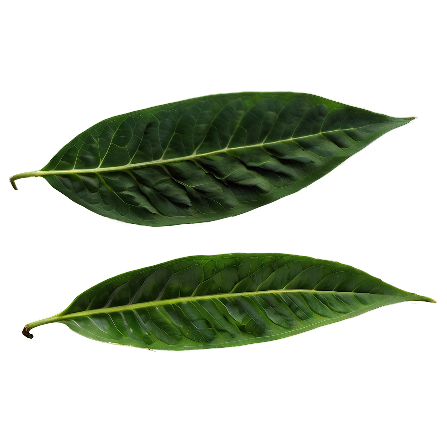 Green Leaves Png Jla81