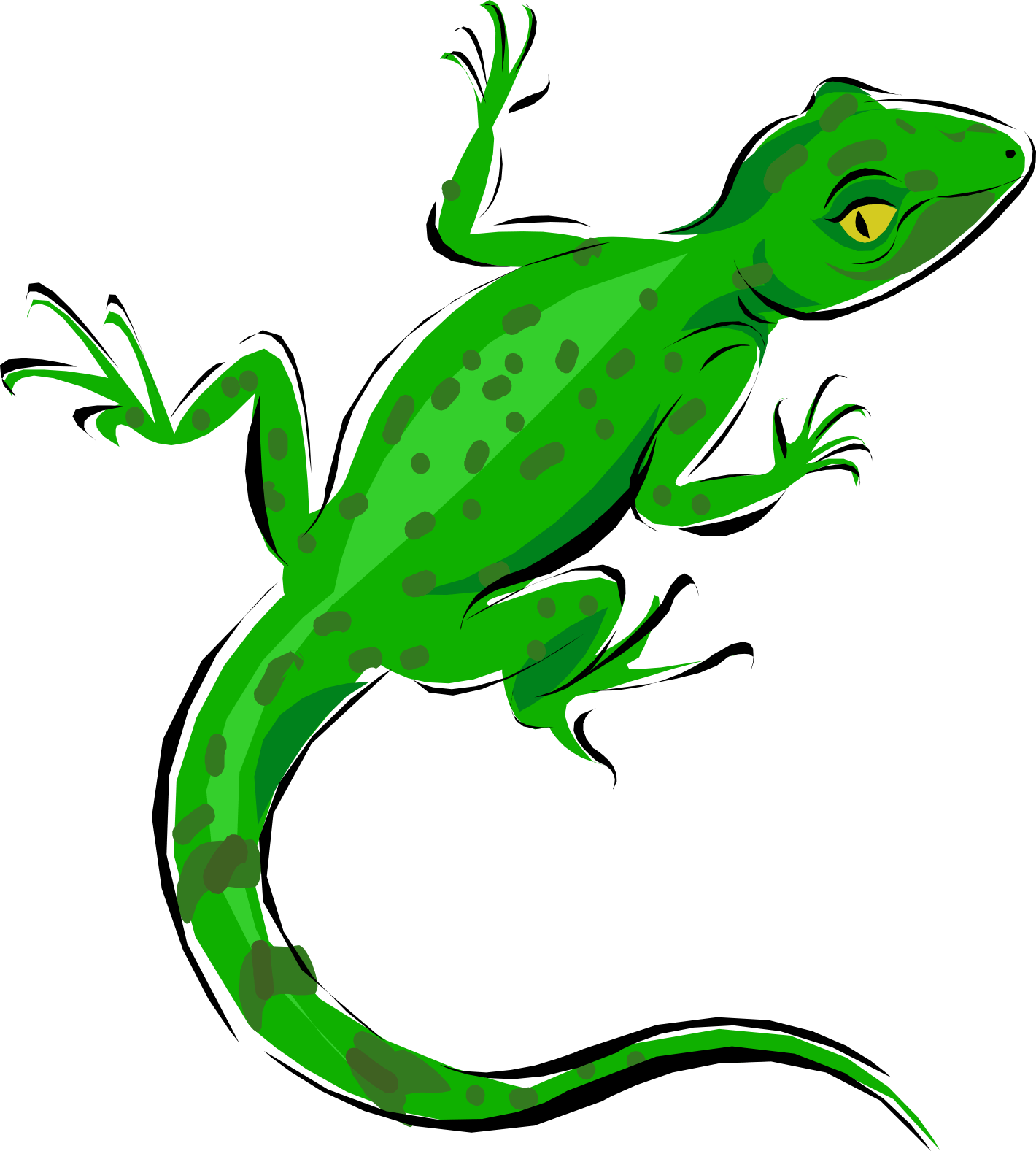 Green Lizard Illustration.png