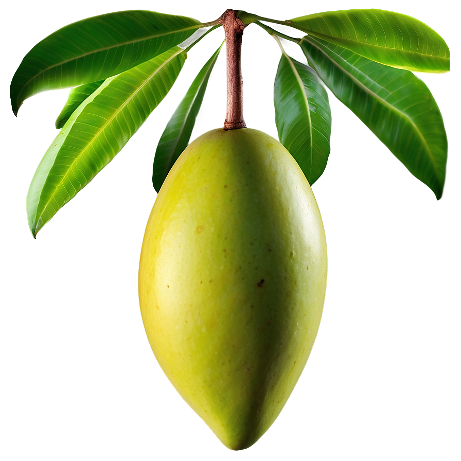 Green Mango Png 05232024