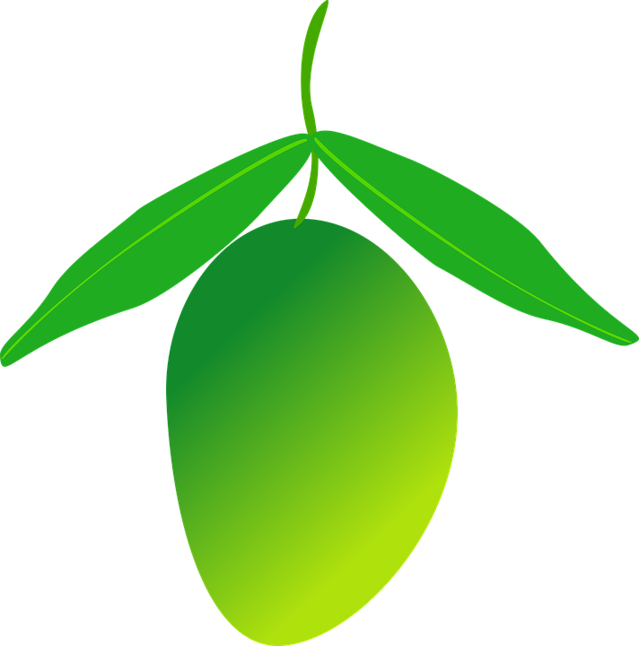 Green Mango Vector Illustration