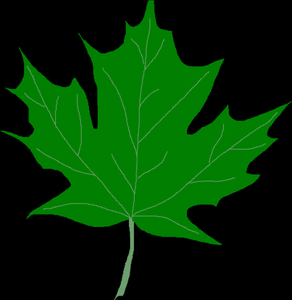 Green Maple Leaf Clipart