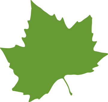 Green Maple Leaf Silhouette