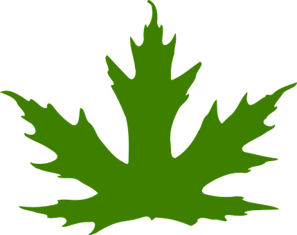 Green Maple Leaf Silhouette