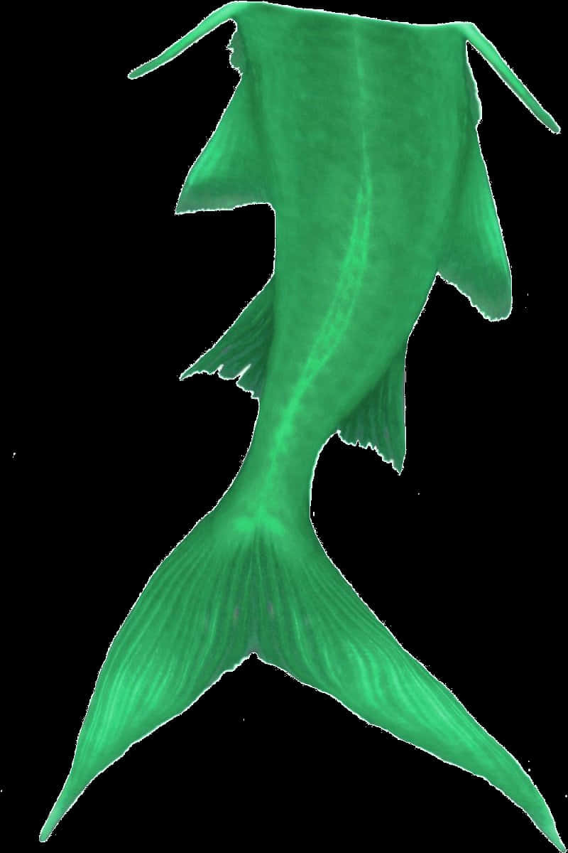 Green Mermaid Tail Graphic