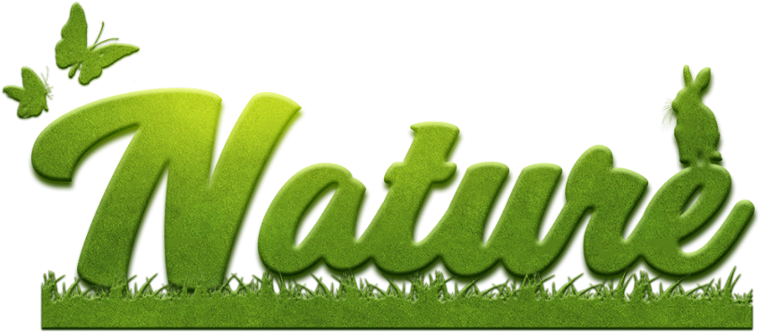 Green Nature Text Design