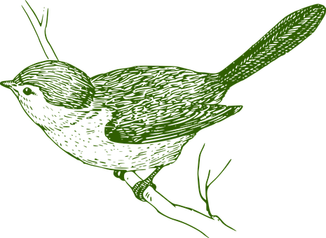 Green Outlined Bird Illustration