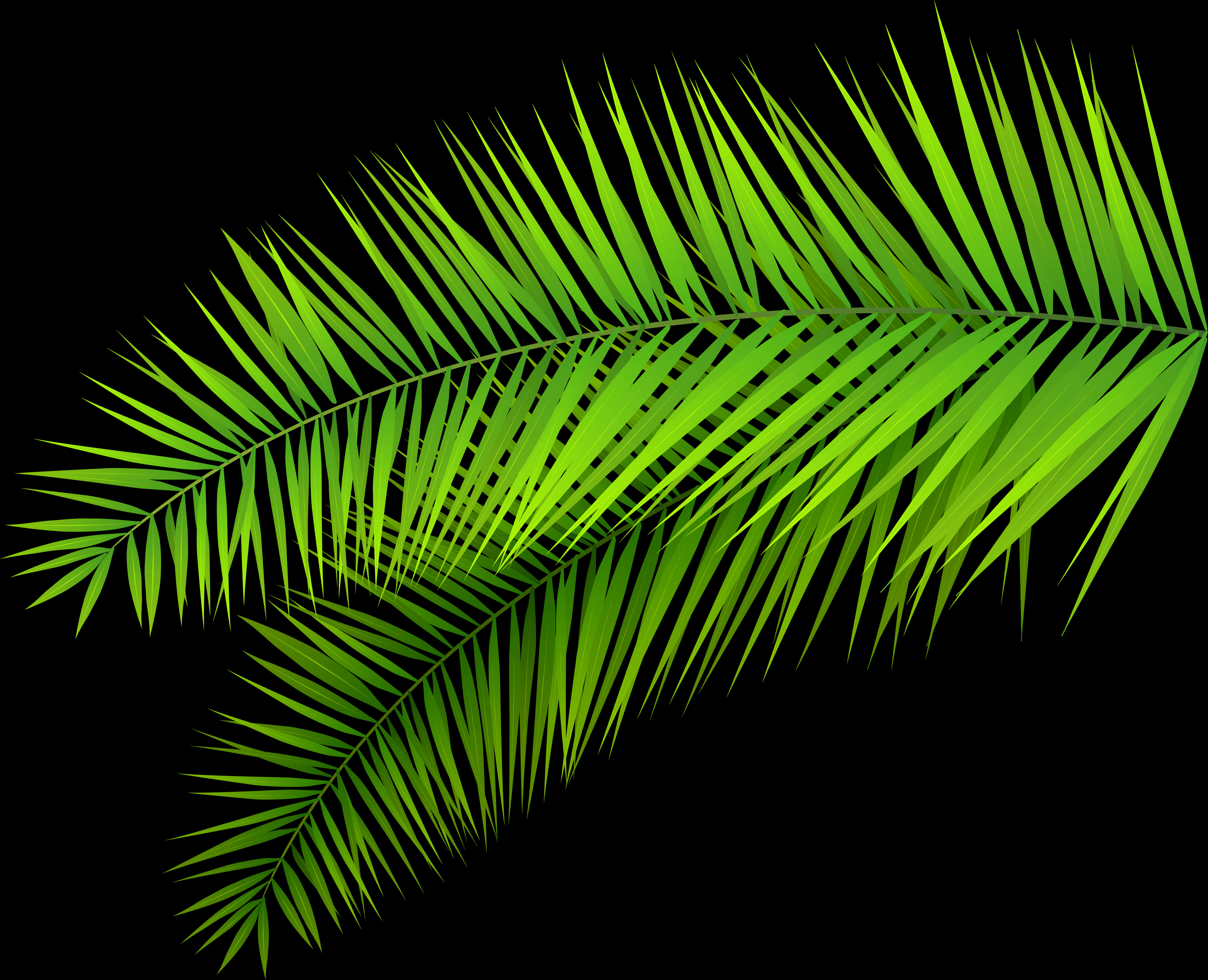 Green Palm Frond Clipart