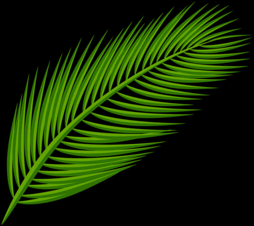 Green Palm Leaf Clipart