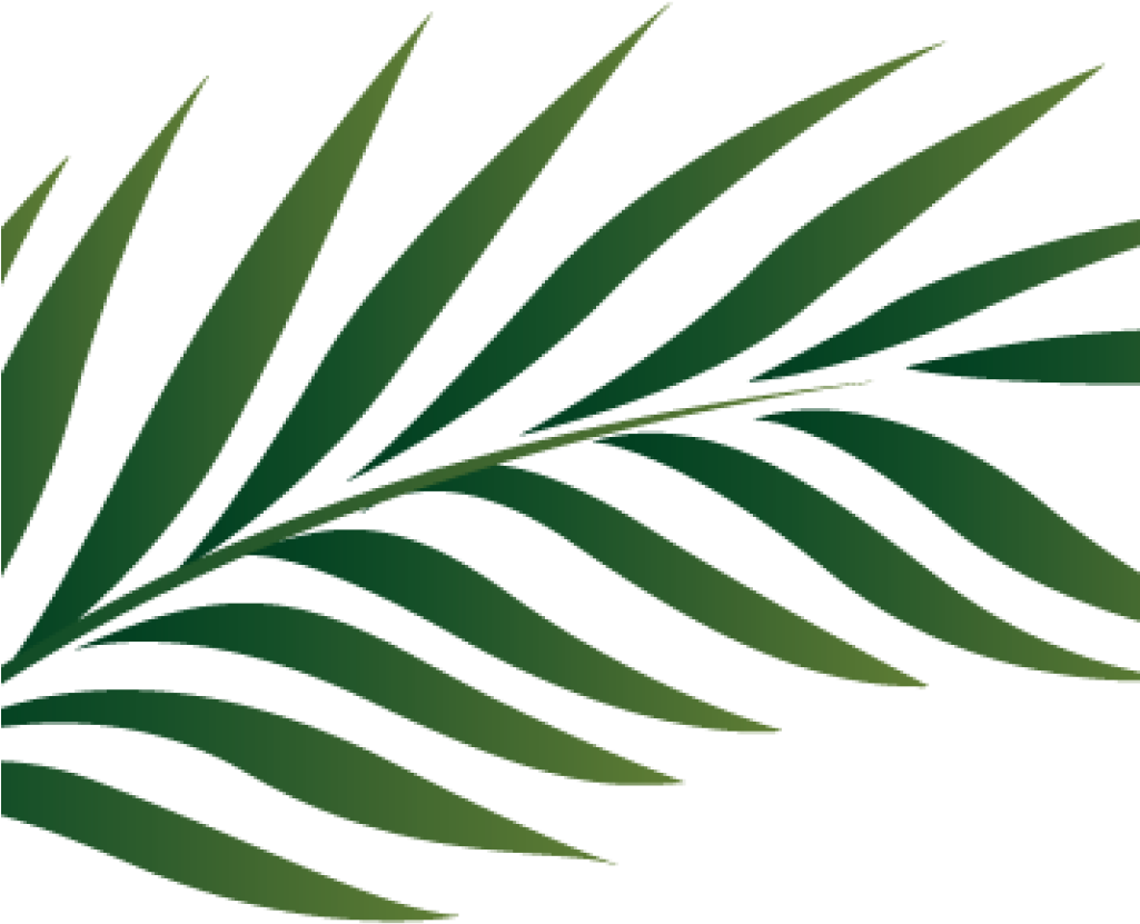 Green Palm Leaf Graphic