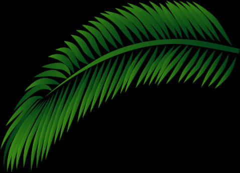 Green Palm Leaf Vector