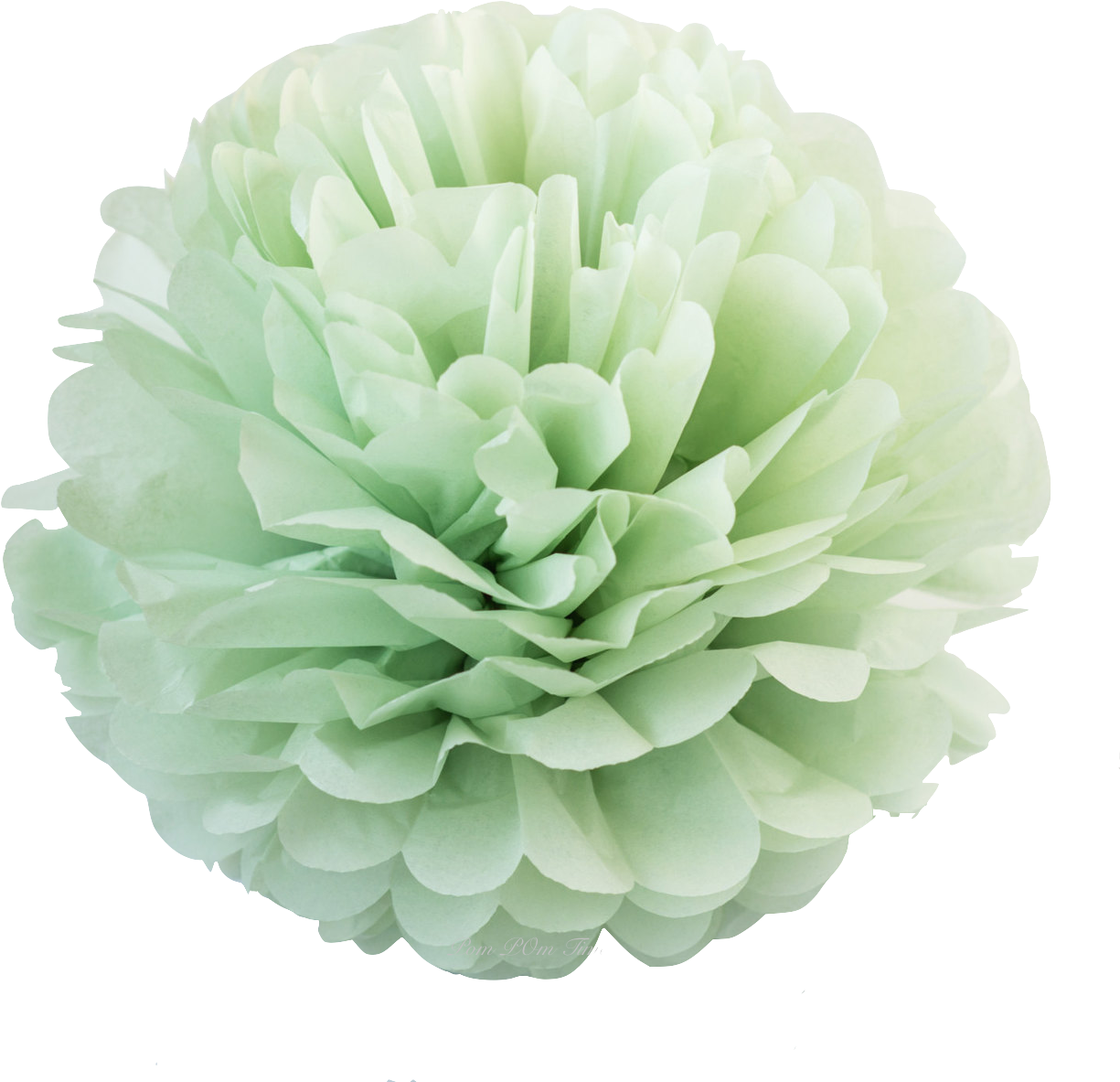 Green Peonies Floral Background