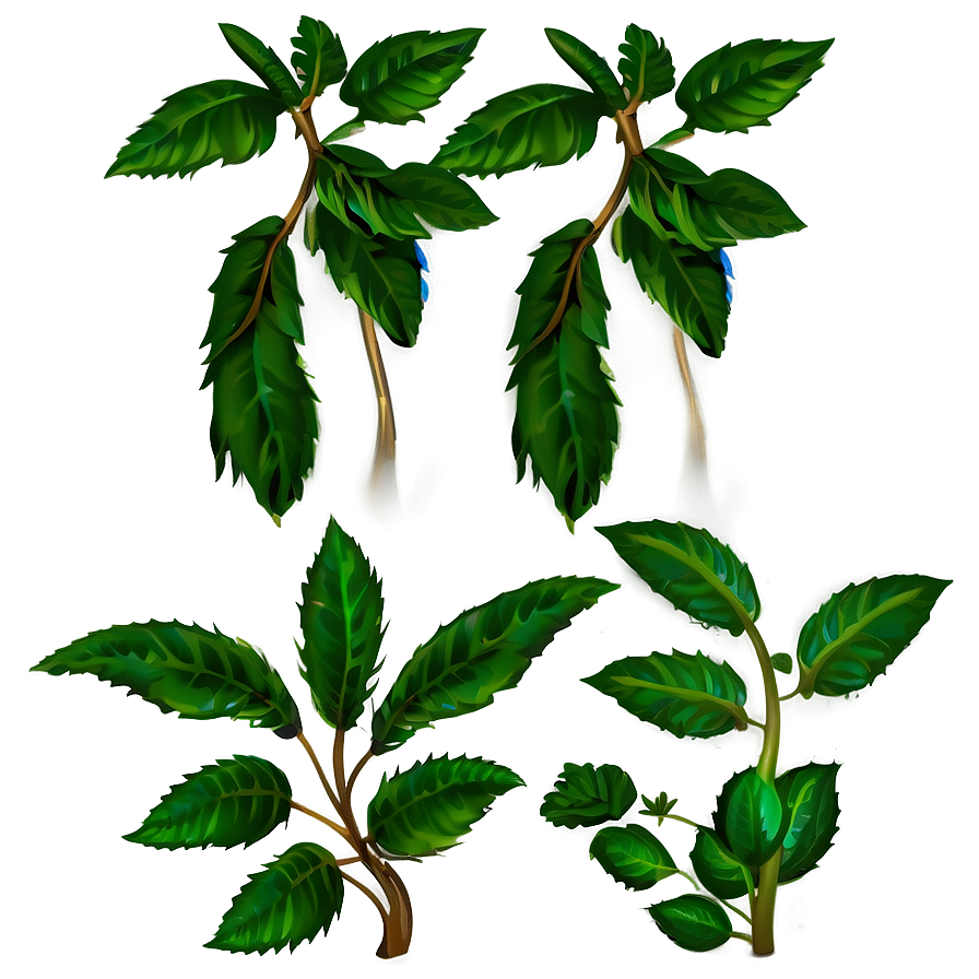 Green Plant Clipart Png 06272024