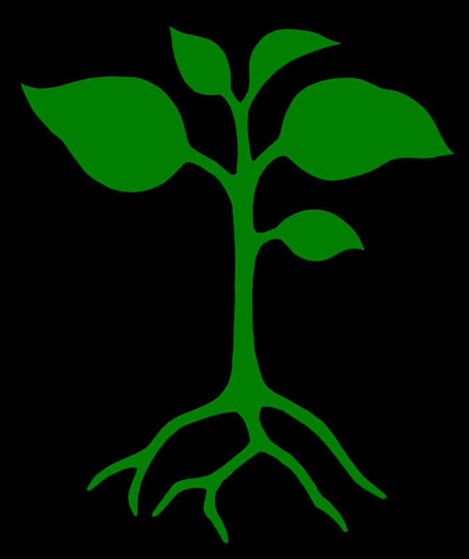 Green Plant Silhouetteon Black Background