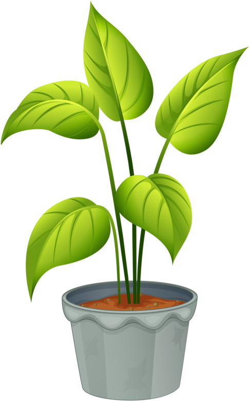 Green Plantin Decorative Pot