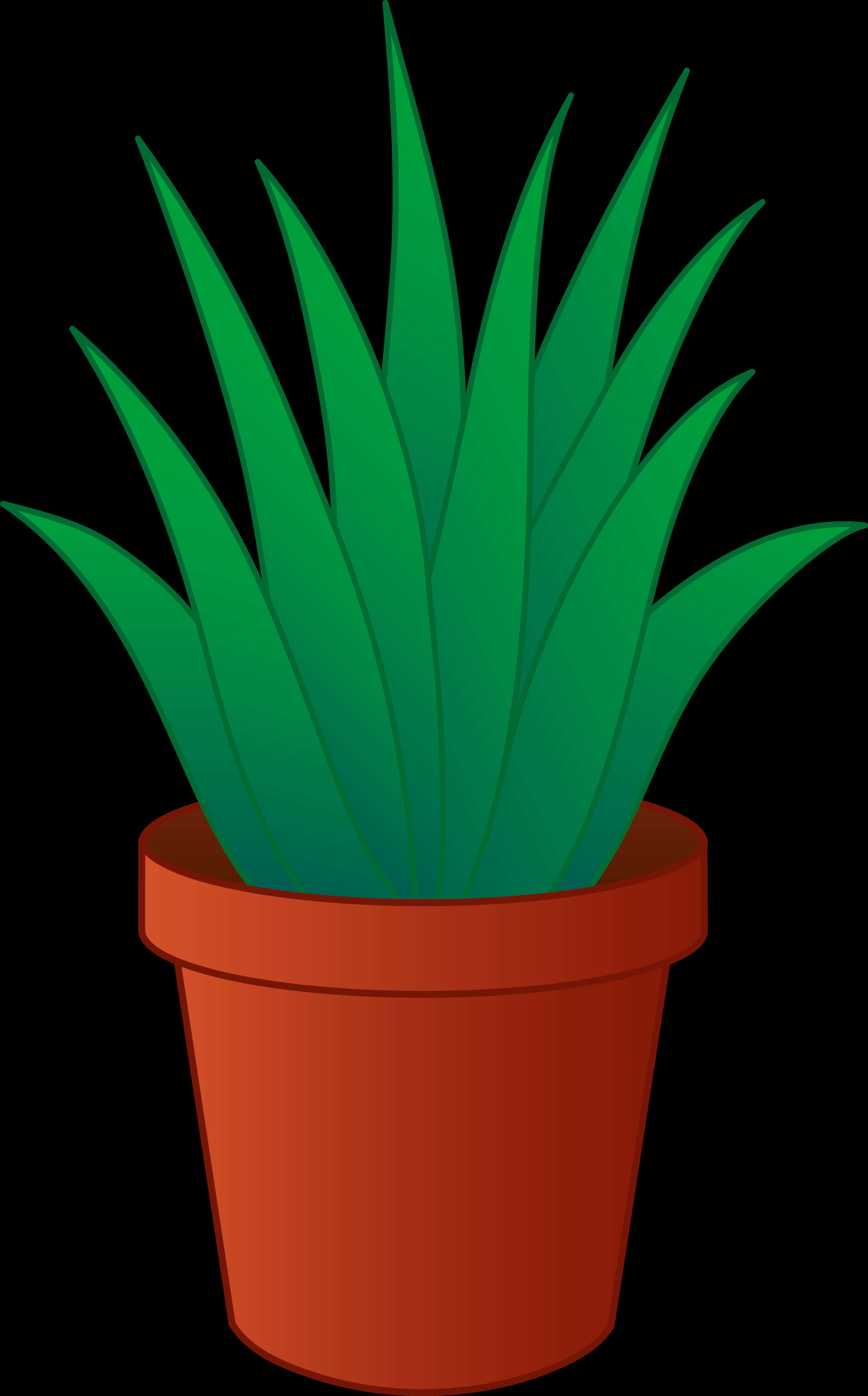 Green Plantin Terra Cotta Pot Illustration