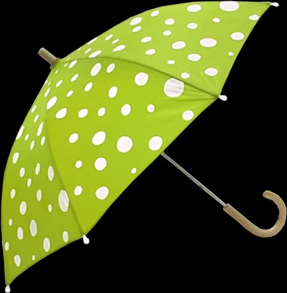 Green Polka Dot Umbrella