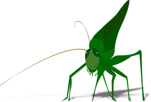 Green Praying Mantis Illustration