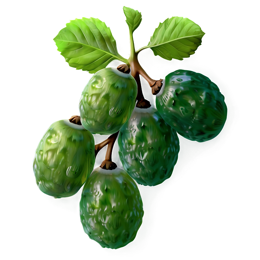 Green Raisins Realistic Png 06262024