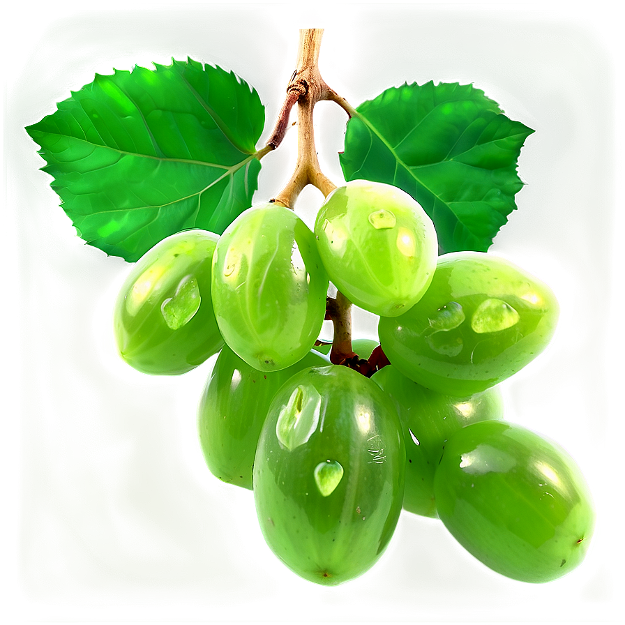 Green Raisins Realistic Png Qpq